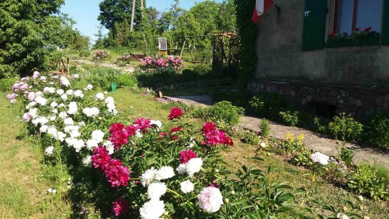 Nad Stawem Lägenhet Biala Olecka Exteriör bild